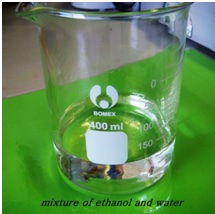 ethanol combustion experiment procedure